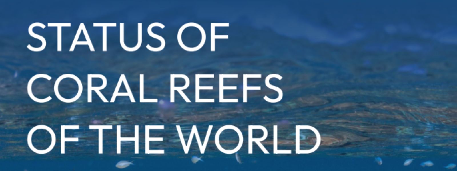 South Asia Emerges As Rare Coral Recovery Success
